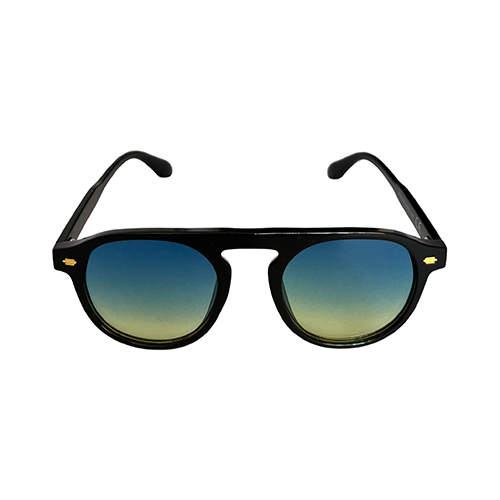 The Hudson Sunglasses - Wynwood Shop