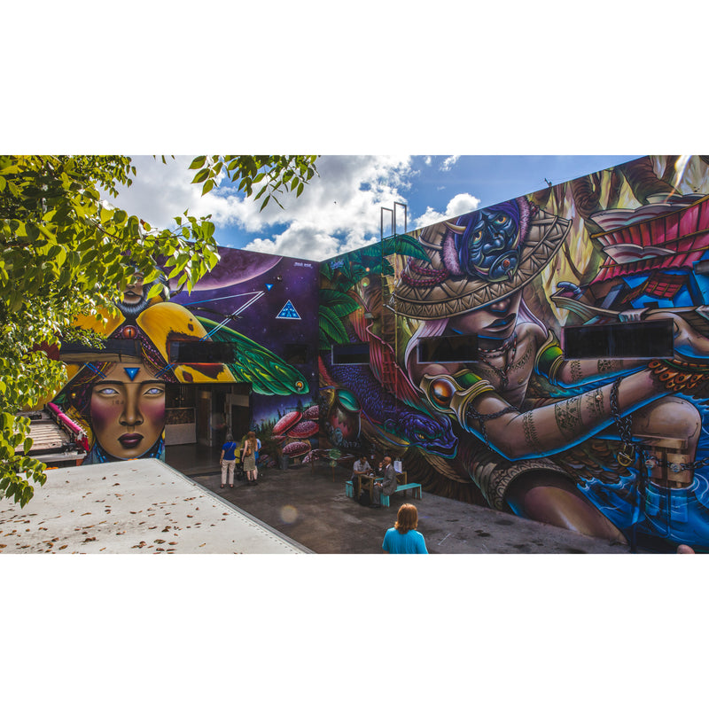 What To Do In Wynwood