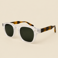 The Arden Transparent Sunglasses