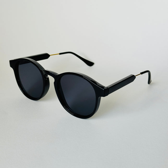 The Miami Classic Black Sunglasses - Wynwood Shop