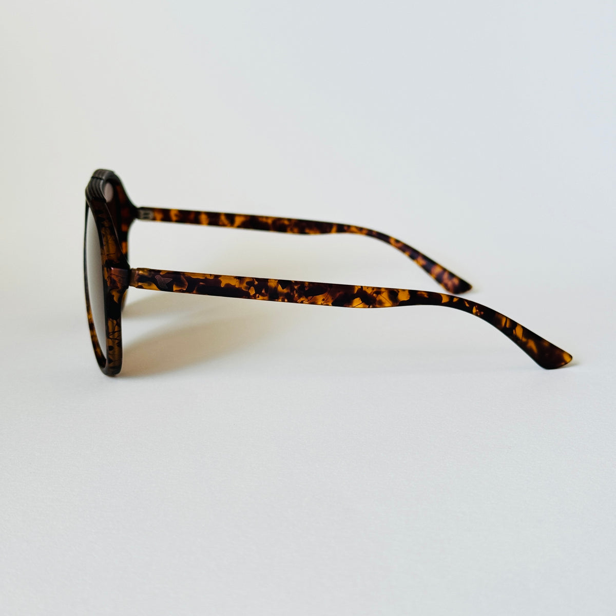 Eye of the tiger Sunglasses - Wynwood Shop