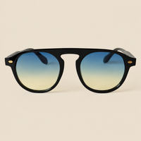 The Hudson Blue Degradé Lens Sunglasses