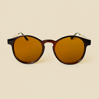 Miami Classics Brown Sunglasses