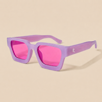 The Sun Chaser Sunglasses III