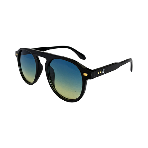 The Hudson Sunglasses - Wynwood Shop