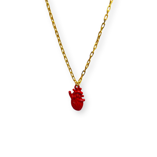 Anatomical Red Heart Necklace - Wynwood Shop