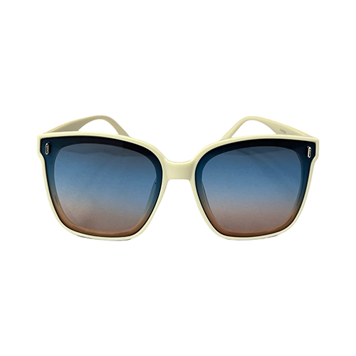 The Havana Gradient Sunglasses - Wynwood Shop